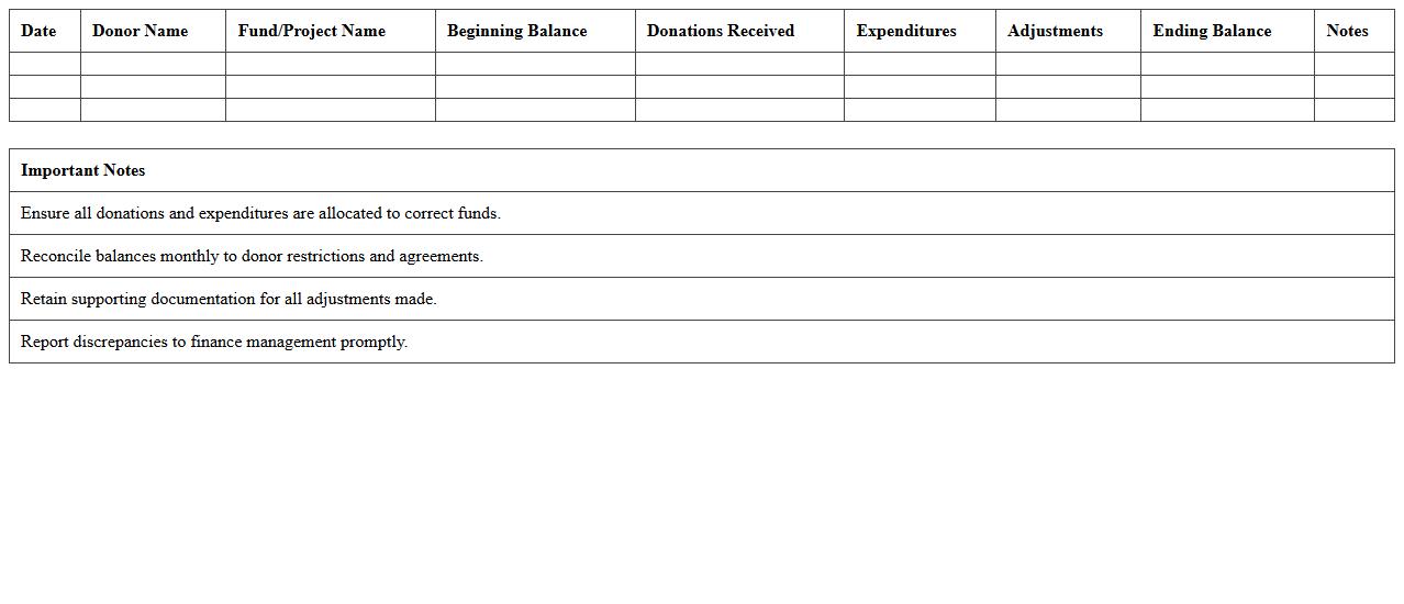 Donor-Restricted Funds Reconciliation Template