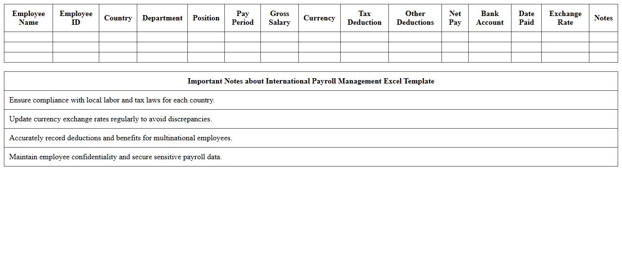 International Payroll Management Excel Template
