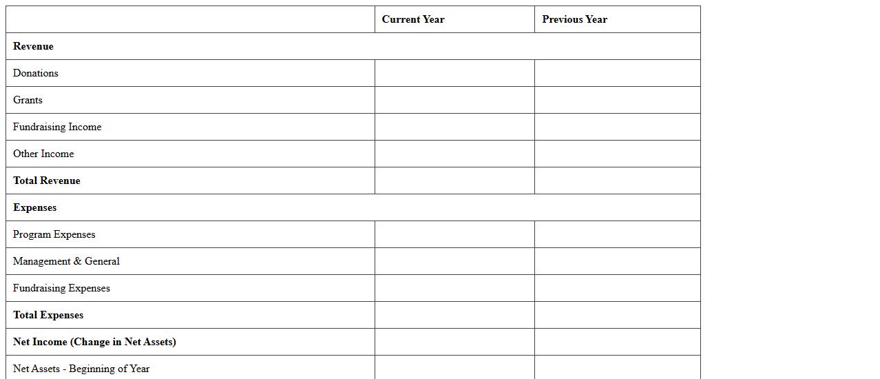 Nonprofit Financial Statement Excel Template