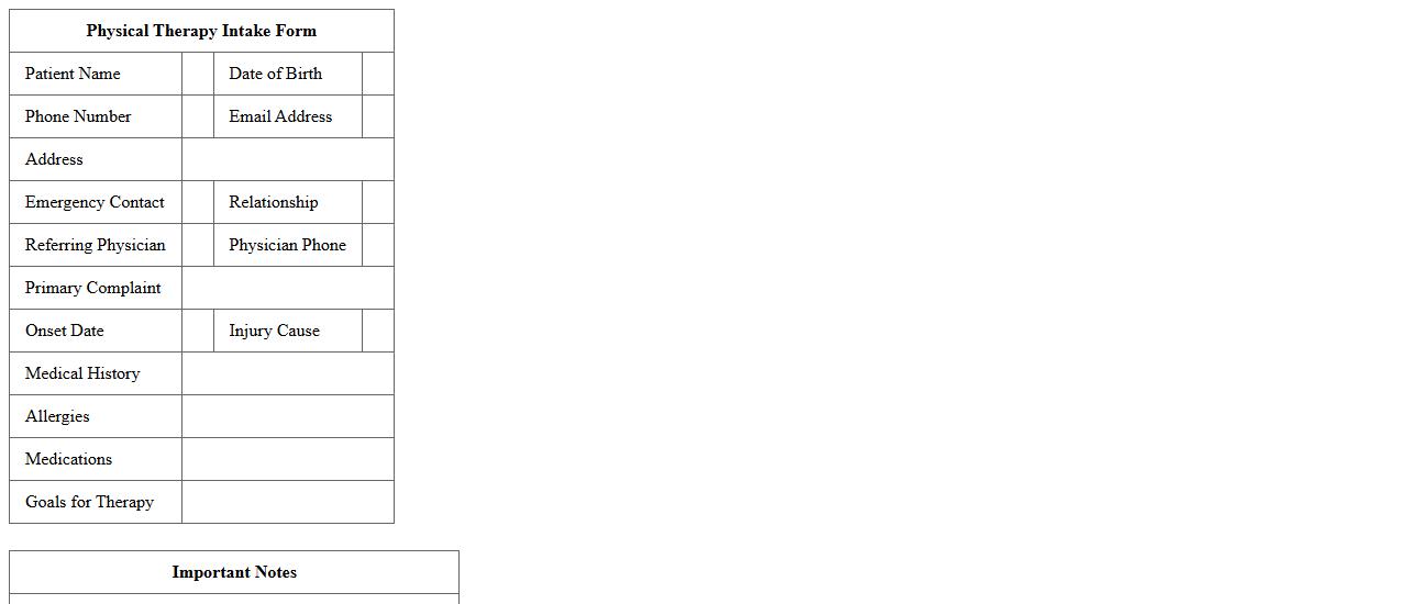 Physical Therapy Intake Form Excel Template