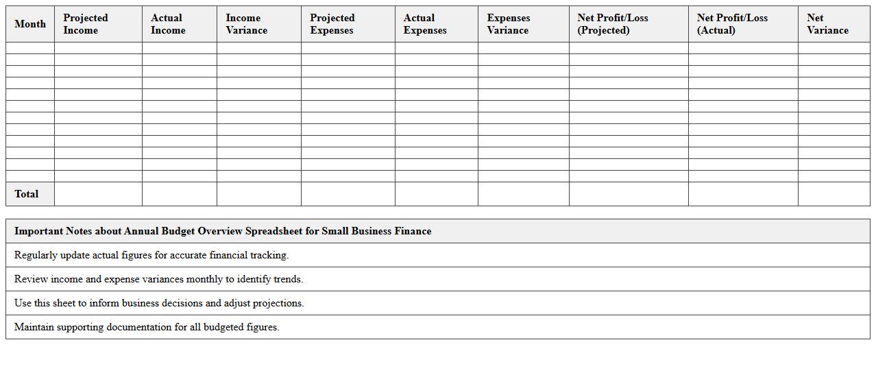 Annual Budget Overview Spreadsheet for Small Business Finance