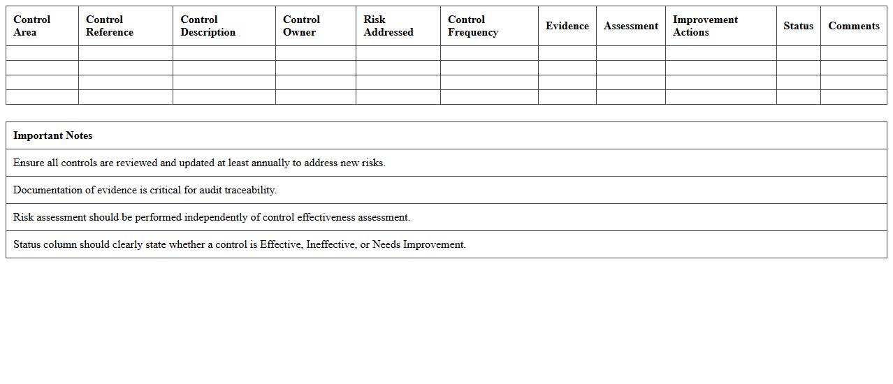 Corporate Finance Internal Controls Audit Template