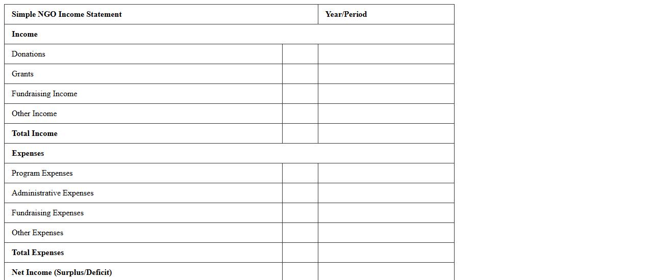 Simple NGO Income Statement Spreadsheet