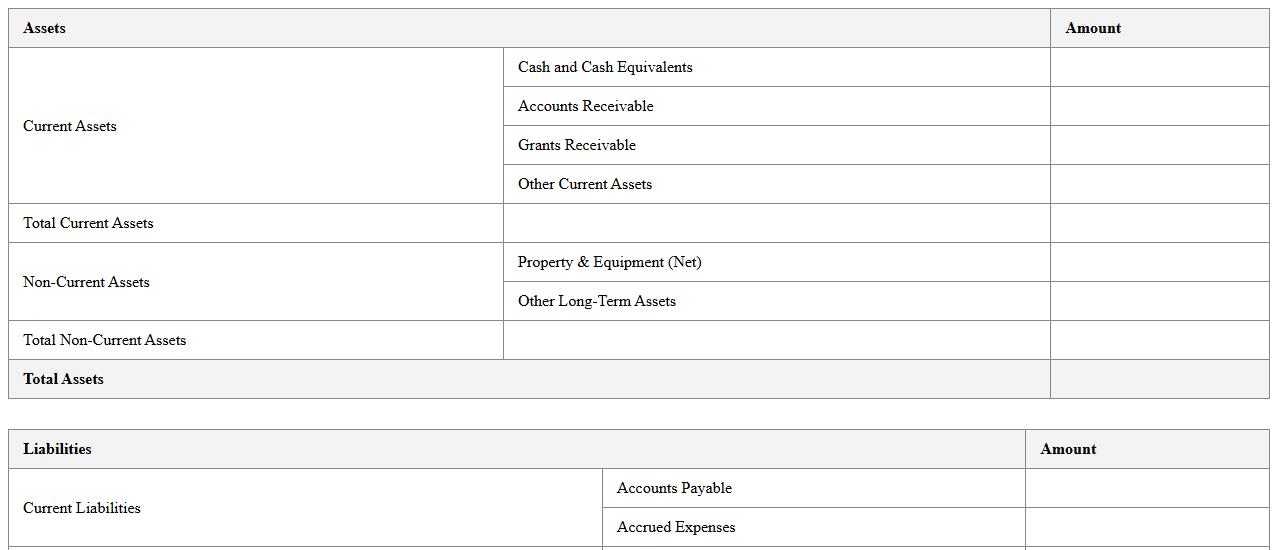 Nonprofit Balance Sheet Excel Template for Board Updates