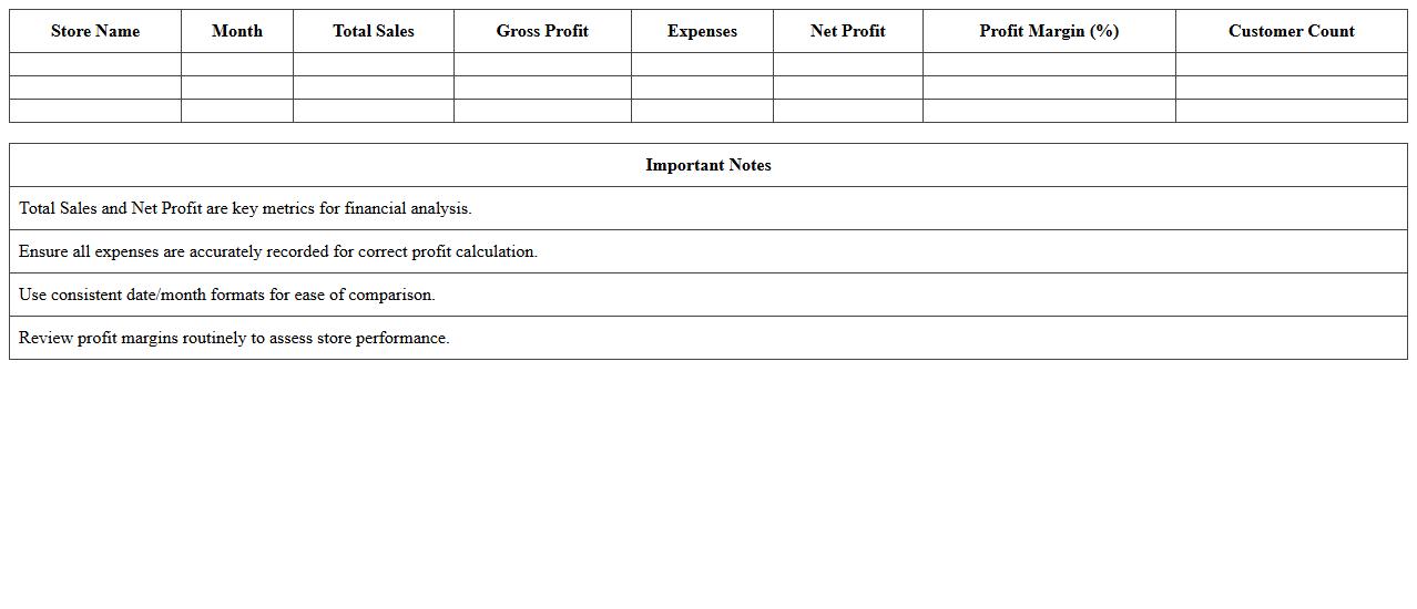 Store Performance Financial Summary Excel Template