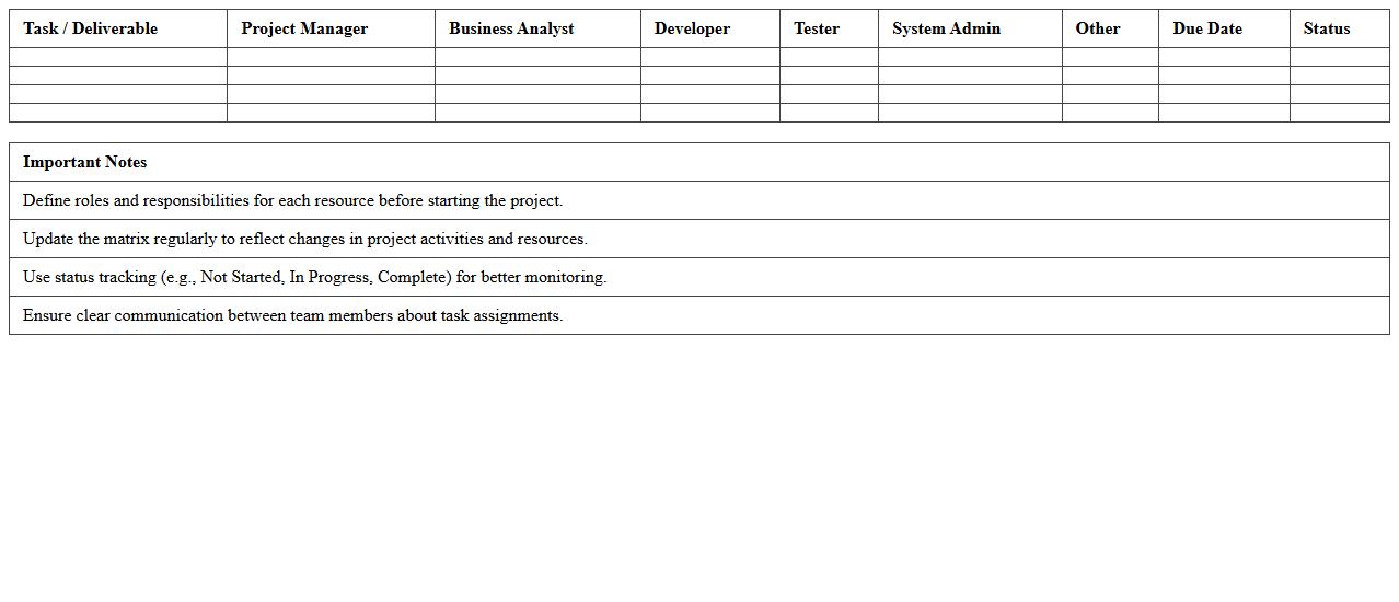 IT Project Resource Assignment Matrix