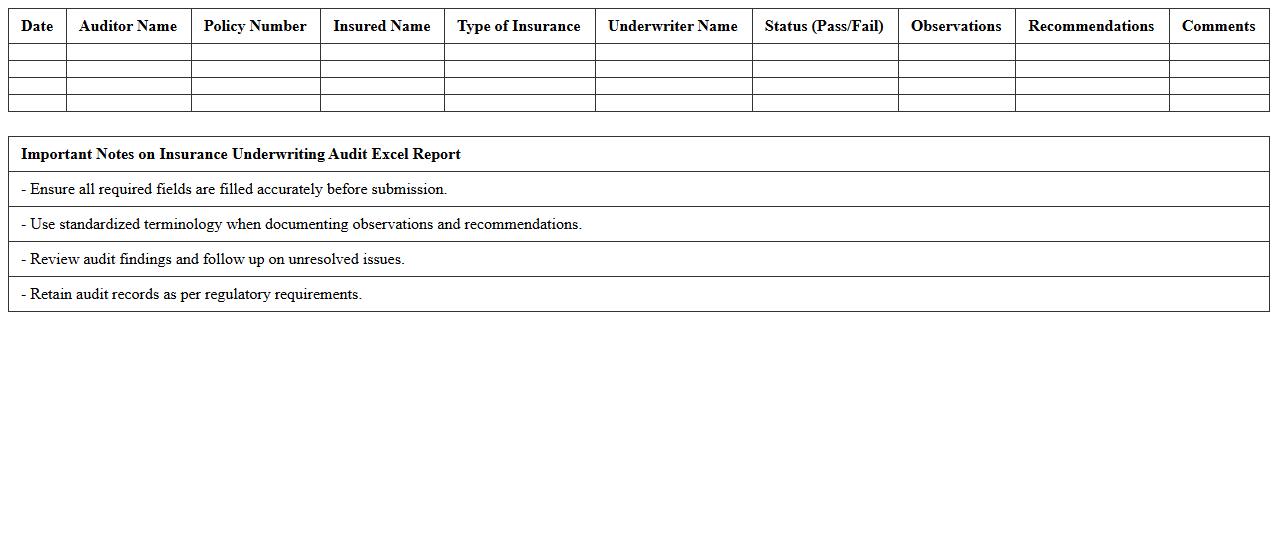 Insurance Underwriting Audit Excel Report