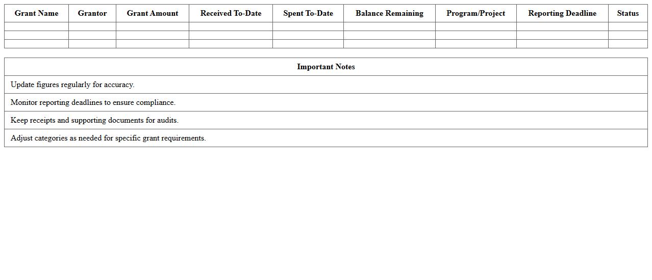 Multi-Grant Financial Overview Excel Template