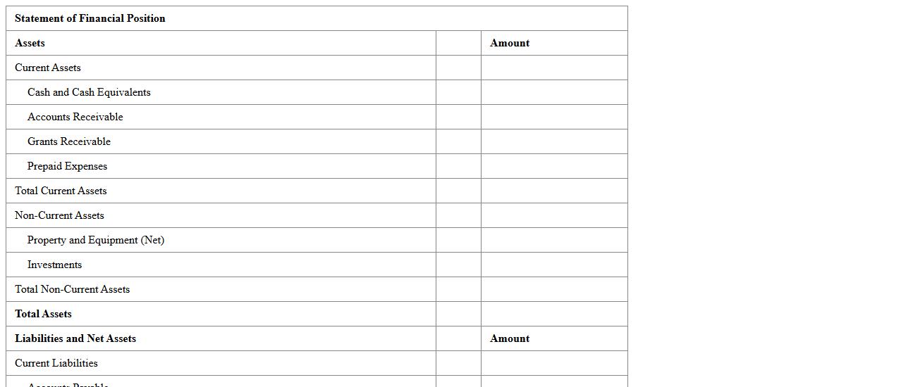 Nonprofit Statement of Financial Position Excel Template