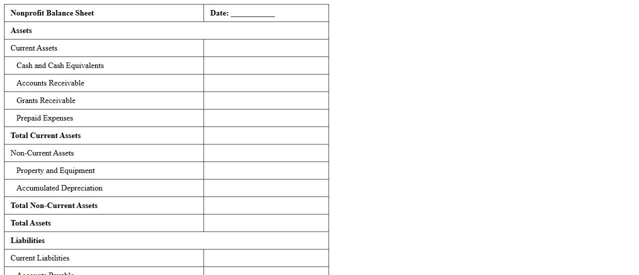 Nonprofit Balance Sheet Excel Template